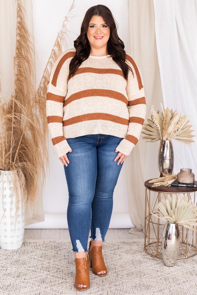 Wonder Often Brown Stripe Sweater